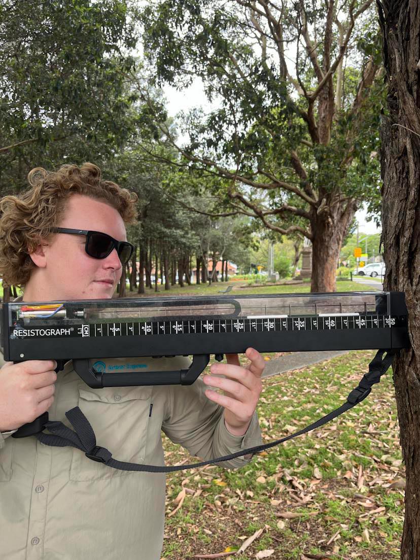 arborist testing tree